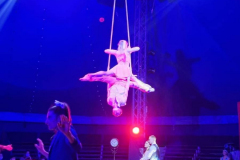 Cirque-12-2021-2