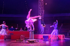 Cirque-12-2021-6