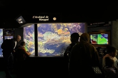 Aquarium-2023-13