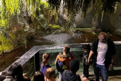 Aquarium-2023-14