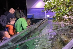 Aquarium-2023-3