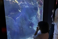 Aquarium-2023-4