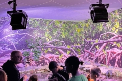 Aquarium-2023-5