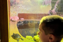 Aquarium-2023-6