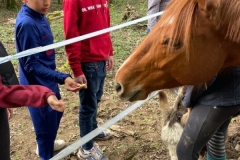 Domaine-des-eveils-04-2024-49