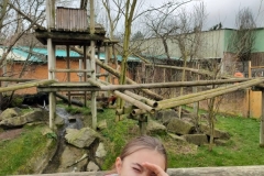 Touroparc-02-2024-17