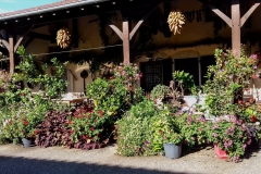 La-ferme-de-Clement-09-2024-78