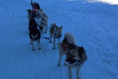La-Plagne-02-2024-60