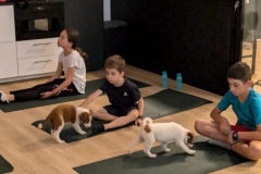 2024 - Yoga