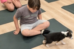Yoga-et-chiots-2024-6