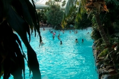 Center-Parc-04-2025-5