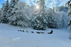 we-neige-01-2025-61