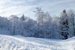 we-neige-01-2025-80