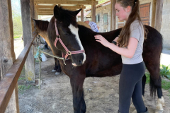 Colonie-de-vacances-equitation-28