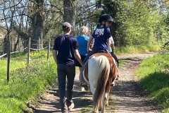 Colonie-de-vacances-equitation-45