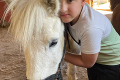 Colonie-de-vacances-equitation-50