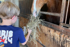 Colonie-de-vacances-equitation-51