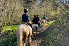 Colonie-de-vacances-equitation-55