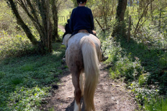 Colonie-de-vacances-equitation-56