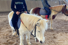 Colonie-de-vacances-equitation-59