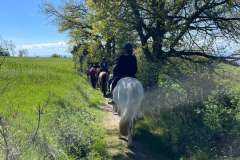 Colonie-de-vacances-equitation-61