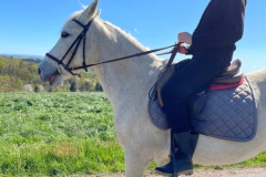 Colonie-de-vacances-equitation-62